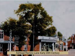 Image result for Leatherhead & District Angling Society