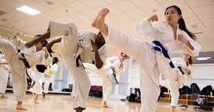 Image result for Shotokan Karate