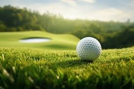 Image result for Peacehaven Golf Club