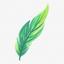 「綠羽毛」的圖片搜尋結果