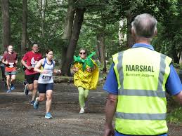 Image result for Burnham Joggers