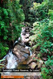 Image result for синхараджа