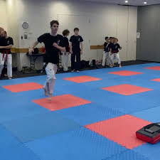 Image result for Bytomic Tae Kwon Do Beaconsfield