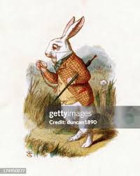 Image result for alice in wonderland rabbit