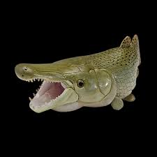 Image result for Atractosteus spatula