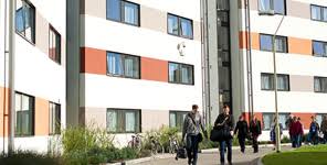 Image result for University Of Reading Ac