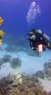 Image result for The London No 1 Diving Club