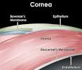 the patients <b>cornea</b> (the