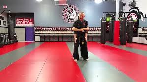 Image result for Elite Force Martial Arts