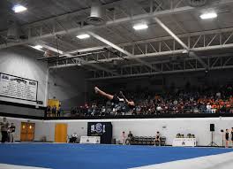 Image result for Tessaro Gymnastics Club