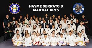 Image result for Hetton and Murton Karate Academy