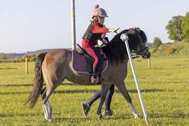 Image result for Peebles & District Riding Club