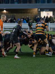 Image result for Colchester Rugby Football Club