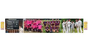 Image result for Ruislip Victoria Cricket Club