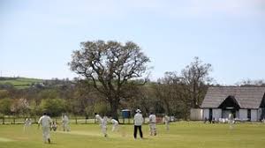 Image result for Yelverton Bohemians Cricket Club