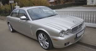 Image result for Silver Fox 2008 Jaguar