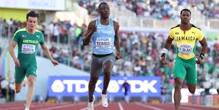 Image result for Tobogo