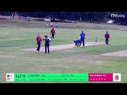 Image result for Shenley Village Cricket Club
