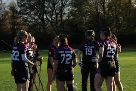 Image result for Wilmslow Lacrosse Club