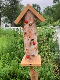 Image result for ladybug house