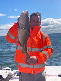 Image result for Gadus macrocephalus