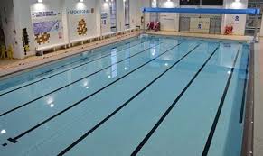 Image result for South Lincs Competitive Swimming Club
