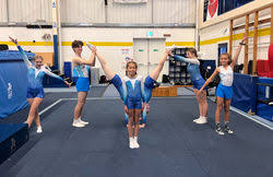 Image result for Mid Sussex Martlets Badminton Club