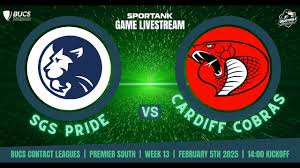 Image result for Cardiff Cobras
