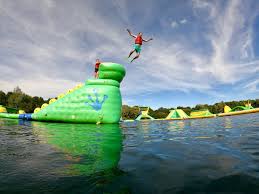 Image result for New Forest/Waterside