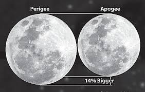 Image result for perigee