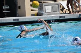 Image result for Exeter Waterpolo and Swimming Club