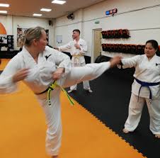 Image result for Kidderminster Tae Kwon Do Tigers