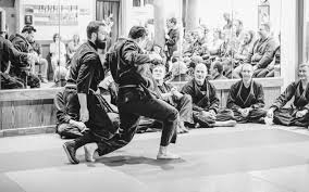 Image result for Quest Martial Arts Academy
