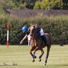 Image result for Oxford Riding Club