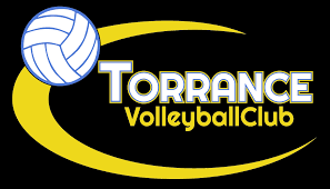 Image result for Devizes Volleyball Club