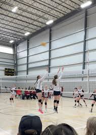 Image result for Rhinos Volleyball Club
