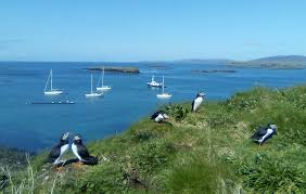 Image result for Traeth Coch Sailing Club