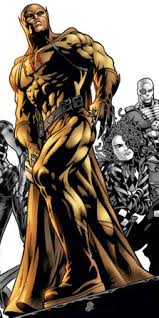 Image result for cat man