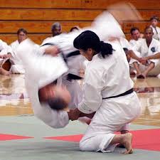 Image result for Shotokan Karate