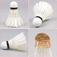Image result for New Eagles Badminton Club