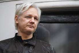 Image result for julian assange