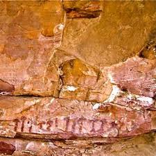 Image result for "Selva Pascuala"