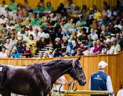 Image result for Bletchingly Badminton Club