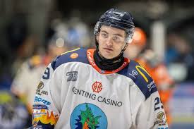 Image result for Sheffield Steelers