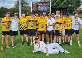 Image result for Mitcham Cricket Club
