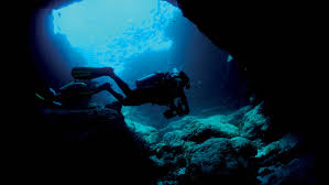 Image result for Blue Water Diving