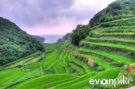 Image result for tanada