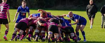 Image result for Hemel Hempstead Rugby League Football Club