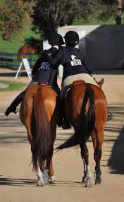 Image result for Abinger Forest Riding Club