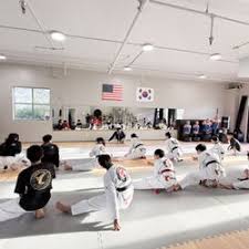 Image result for Synergy Tae Kwon Do